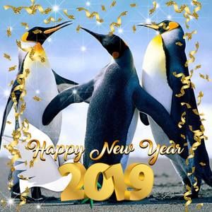 Meet your Posher, Hsiu